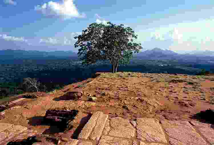 Sri Lanka Picture Archive 8